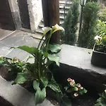 Garni Degli Angioli Hotel Ascona
