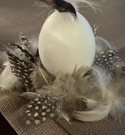 Hotel Ristorante Degli Angioli Ascona