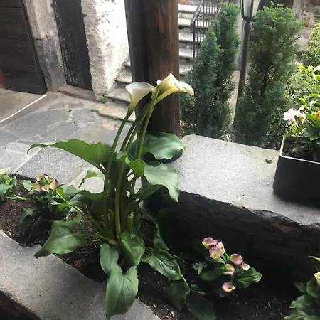 Garni Degli Angioli فندق أسكونا