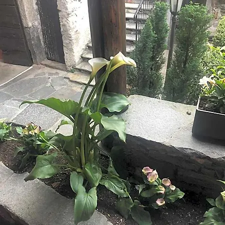 Garni Degli Angioli Ascona